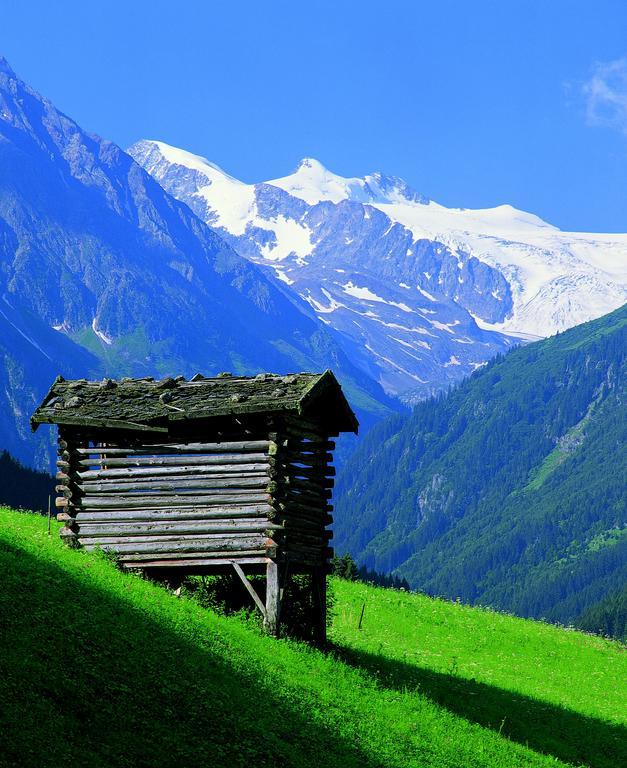 Haus Egger Apartment Neustift im Stubaital Exterior photo