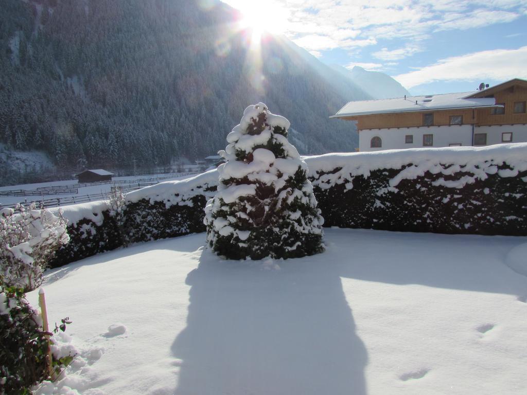 Haus Egger Apartment Neustift im Stubaital Exterior photo